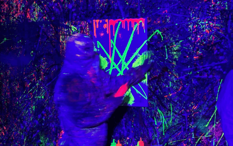 Grupinė veiksmo tapyba Splatter Studio